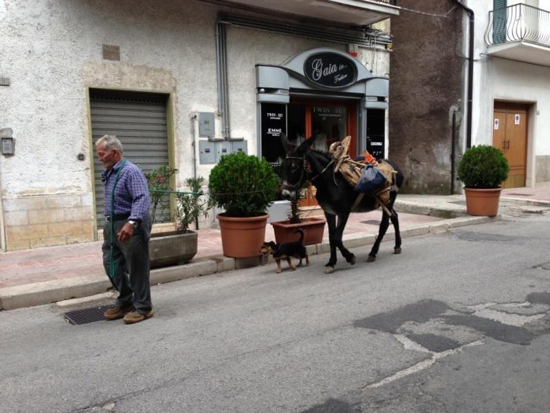 Il Pieddo Apartamento Vico Del Gargano Exterior foto